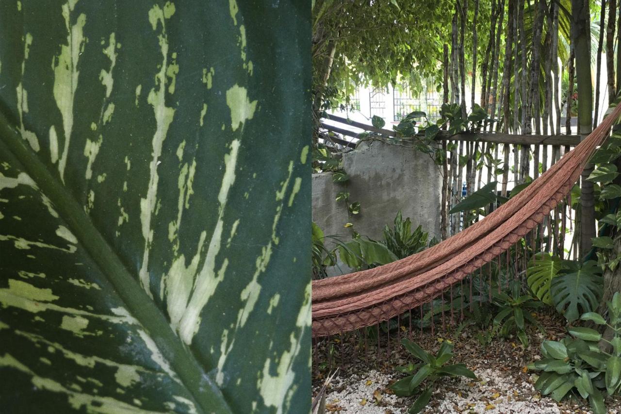 Wabi Sabi Garden Guesthouse By Amara Concepts. Тулум Екстериор снимка